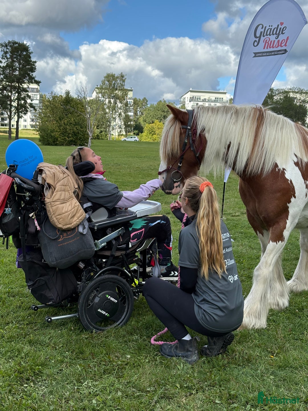  medryttarhäst finnes: 4 trygga hästar i Märsta söker medryttare i Märsta - Annons 6