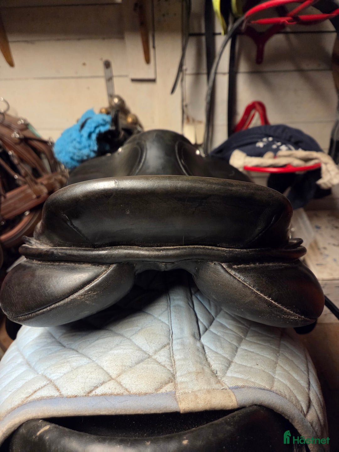 Sadlar hästutrustning till salu: Trainers Professional i Hortlax - Annons 4