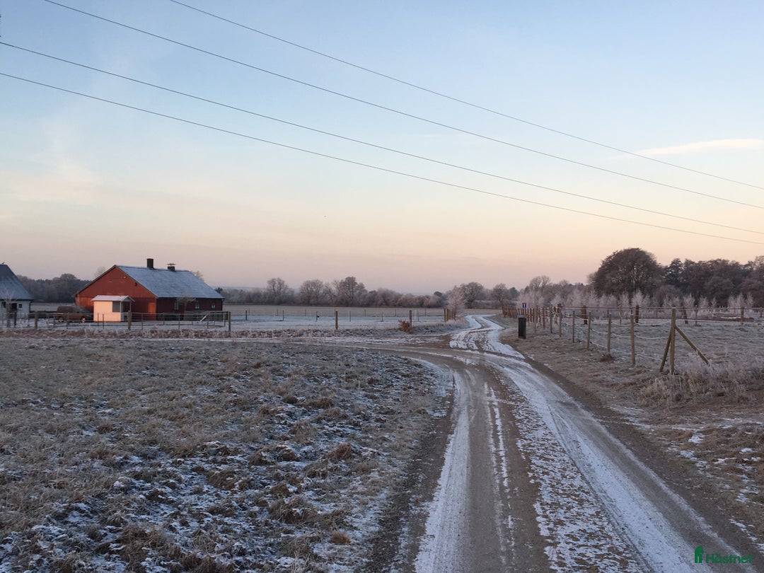  stallplats finnes: Lediga boxplatser i Sjöbo (Tågra) i Sjöbo - Annons 4