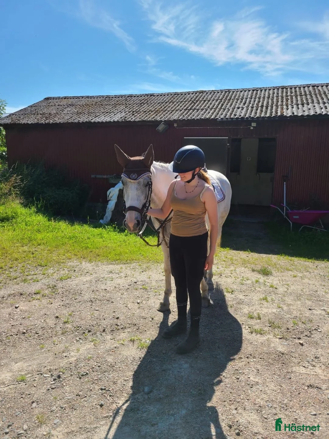  hästjobb finnes: Sommar/extra jobb sökes! i Romelanda - Annons 3