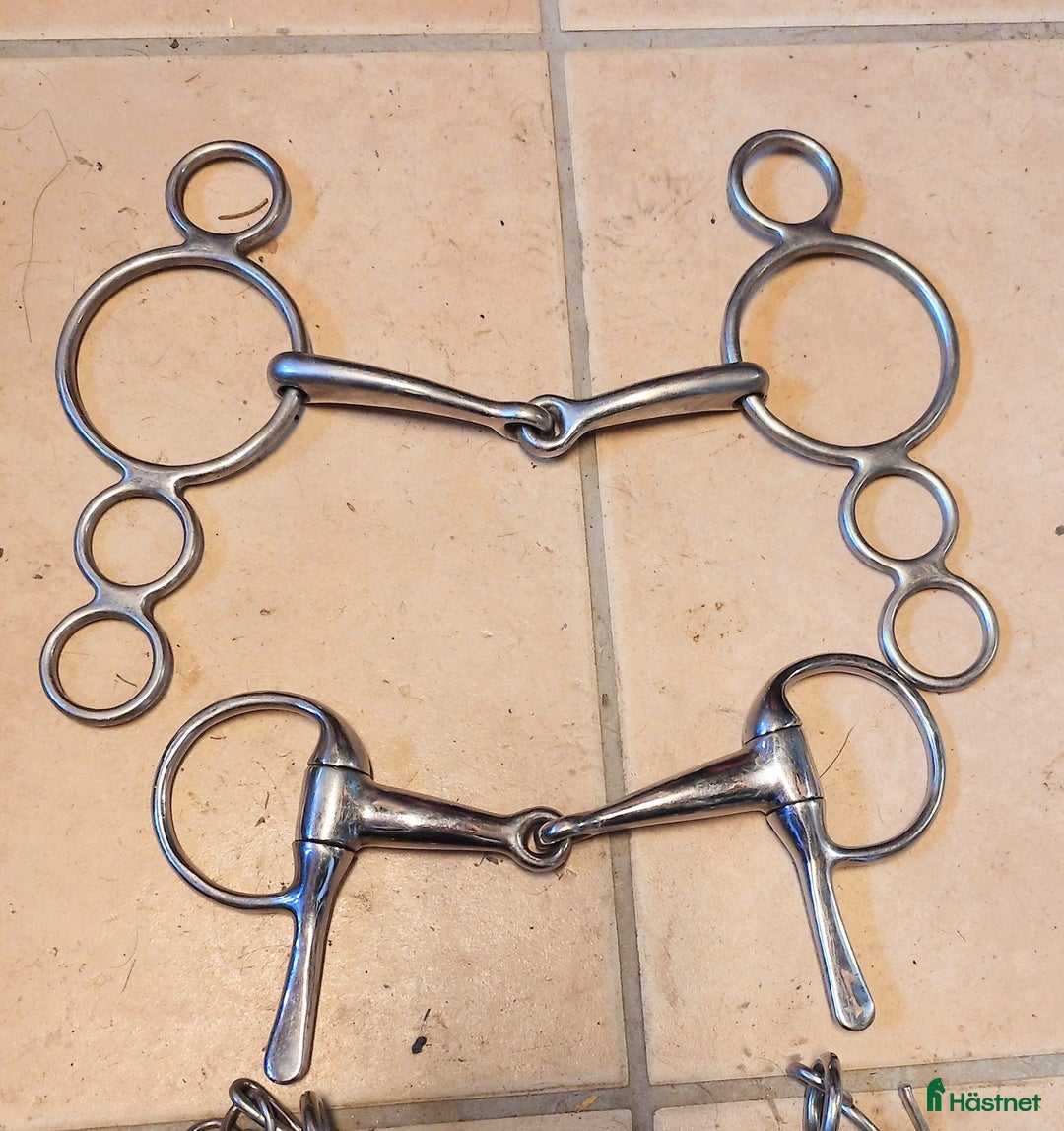 Bett hästutrustning till salu: Pessoabett och travbett säljes  i Uppsala - Annons 1