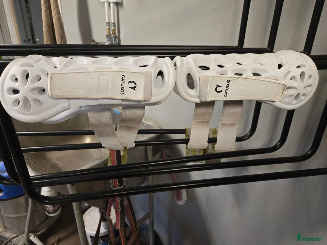 Benskydd hästutrustning till salu: Senskydd med god ventilation - Annons 1