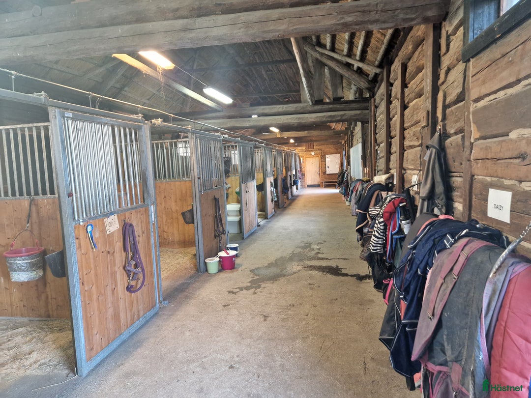  stallplats finnes: Stall plats finnes i Grödinge i Grödinge - Annons 2