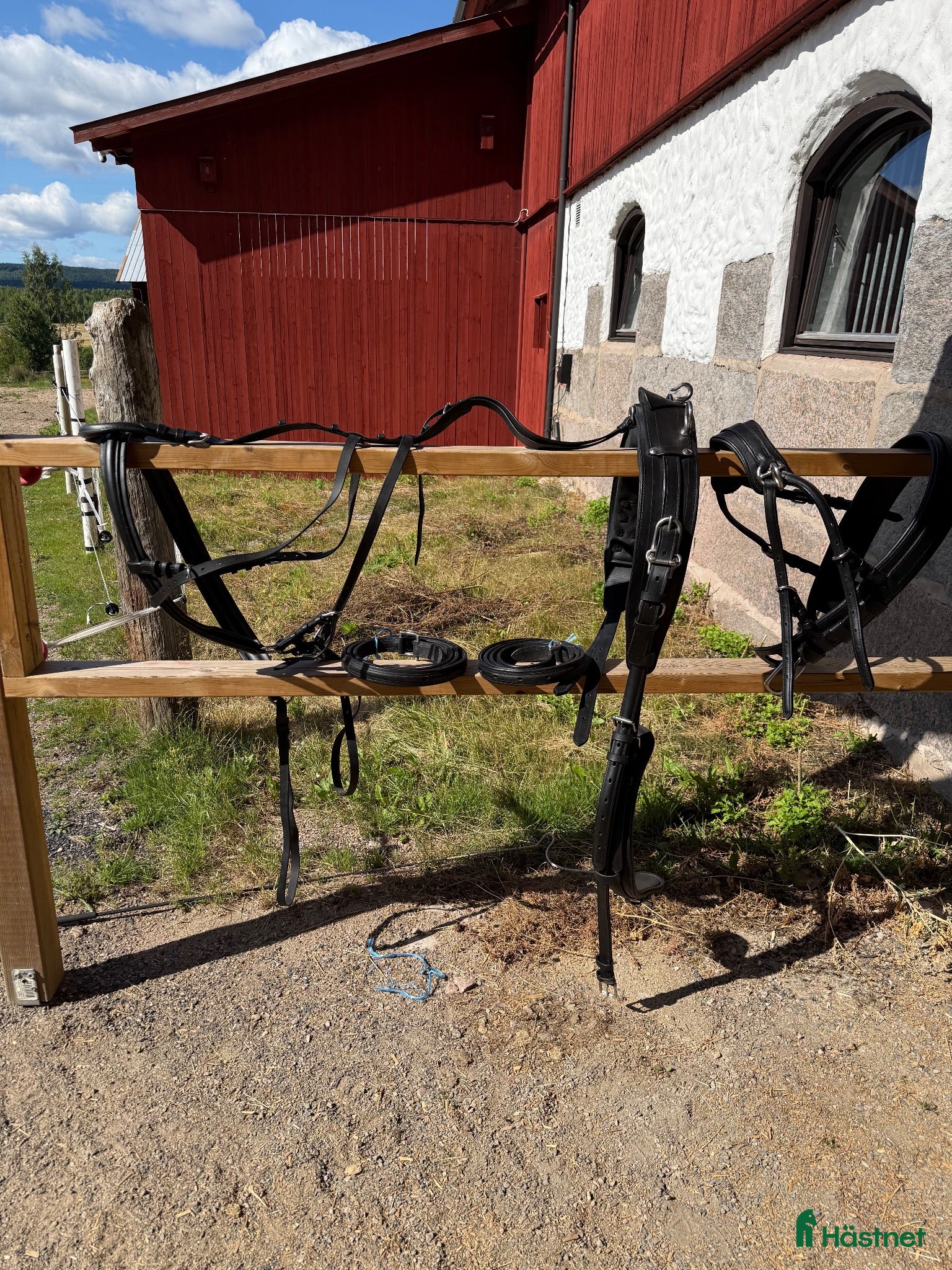 Körselar körning till salu: Bröstsele stl full, läder  - Annons 2
