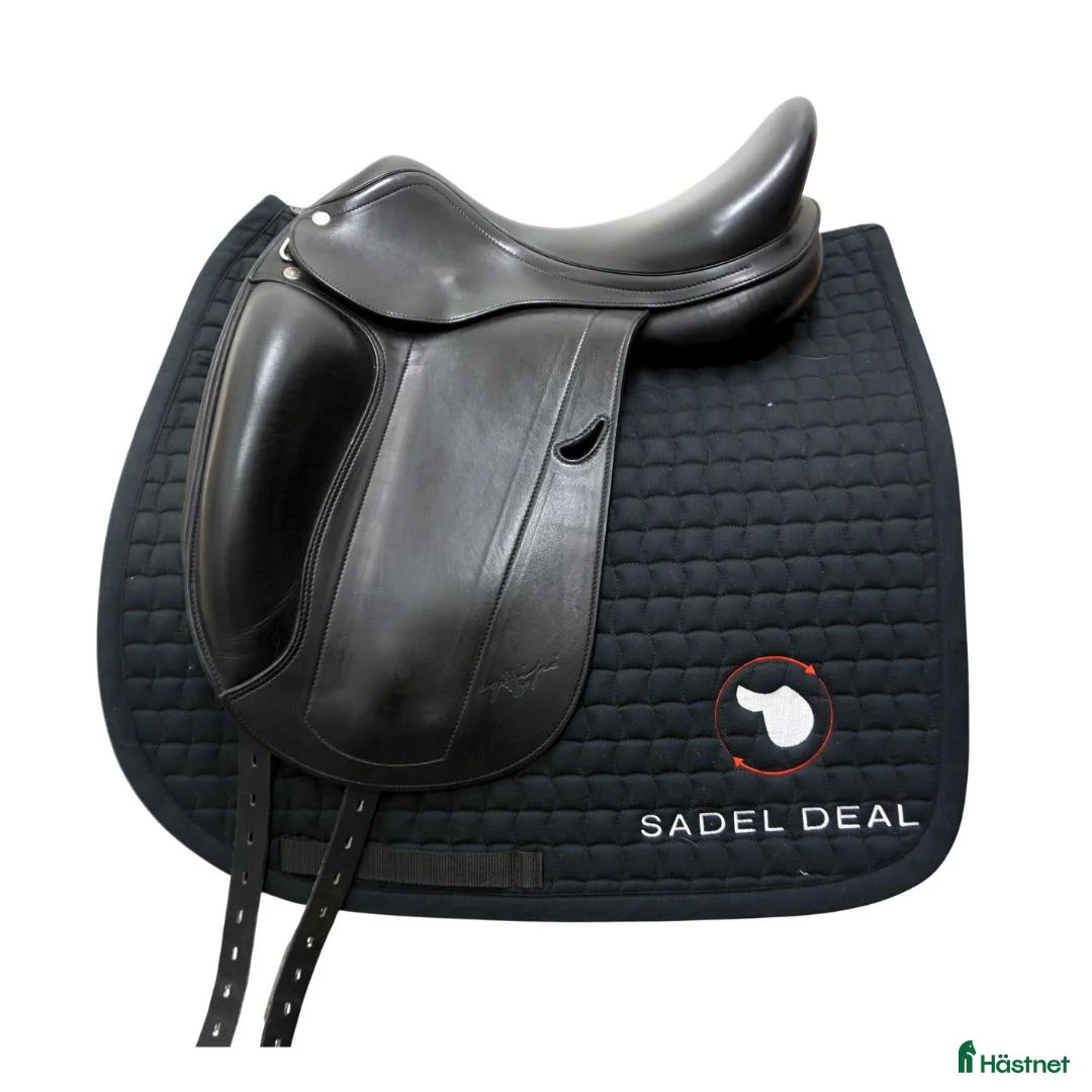 Sadlar hästutrustning till salu: Equipe Emporio Mono Special 16" - Annons 1