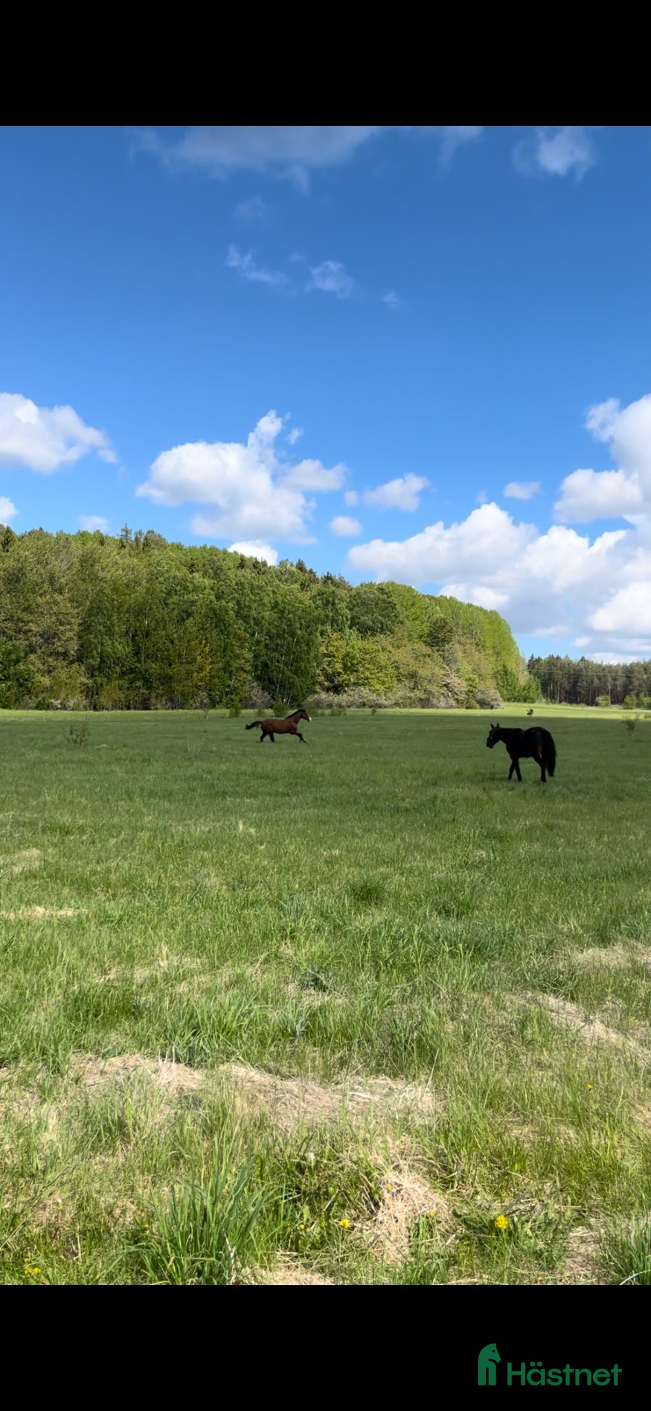  stallplats Bete i Grödinge  - Annons 1