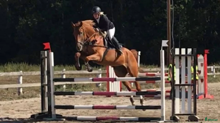 Galleribild {{count}}