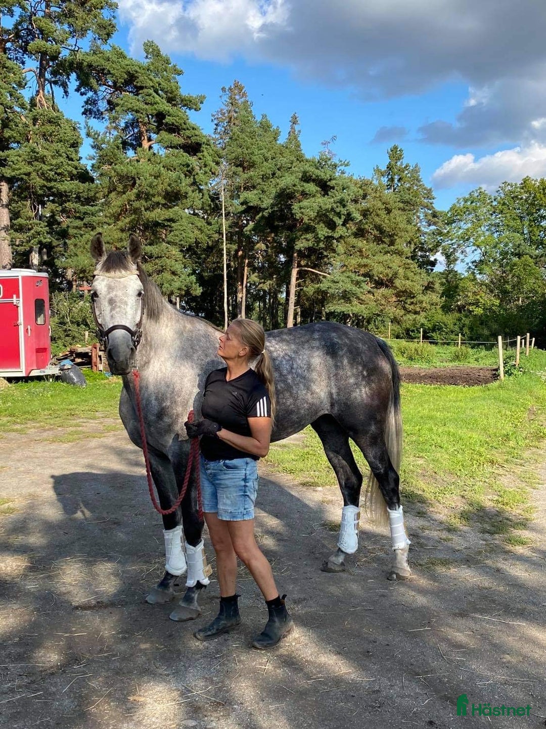 stallplats finnes: Behöver du stallplats på Ekerö?  i Skå - Annons 24