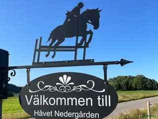 stallplats Ledig boxplats i Rävlanda - Annons 17