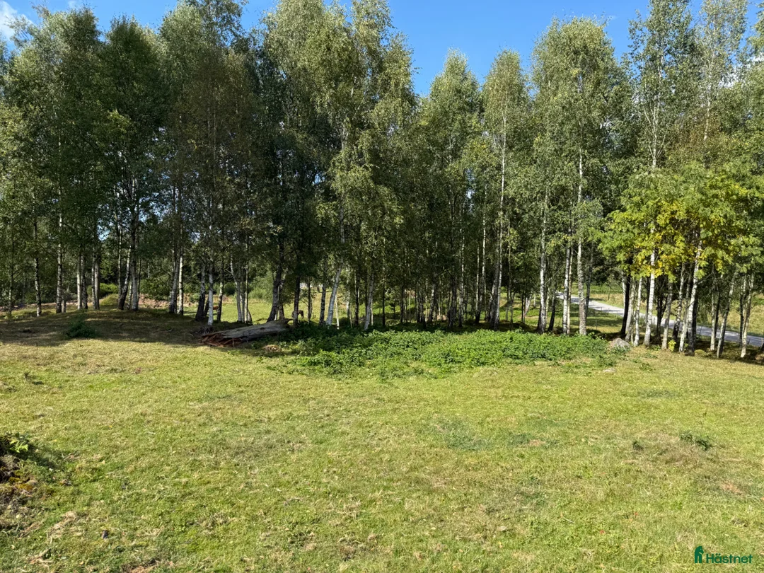  stallplats finnes: Lösdrift till islandshäst finnes!  - Annons 2