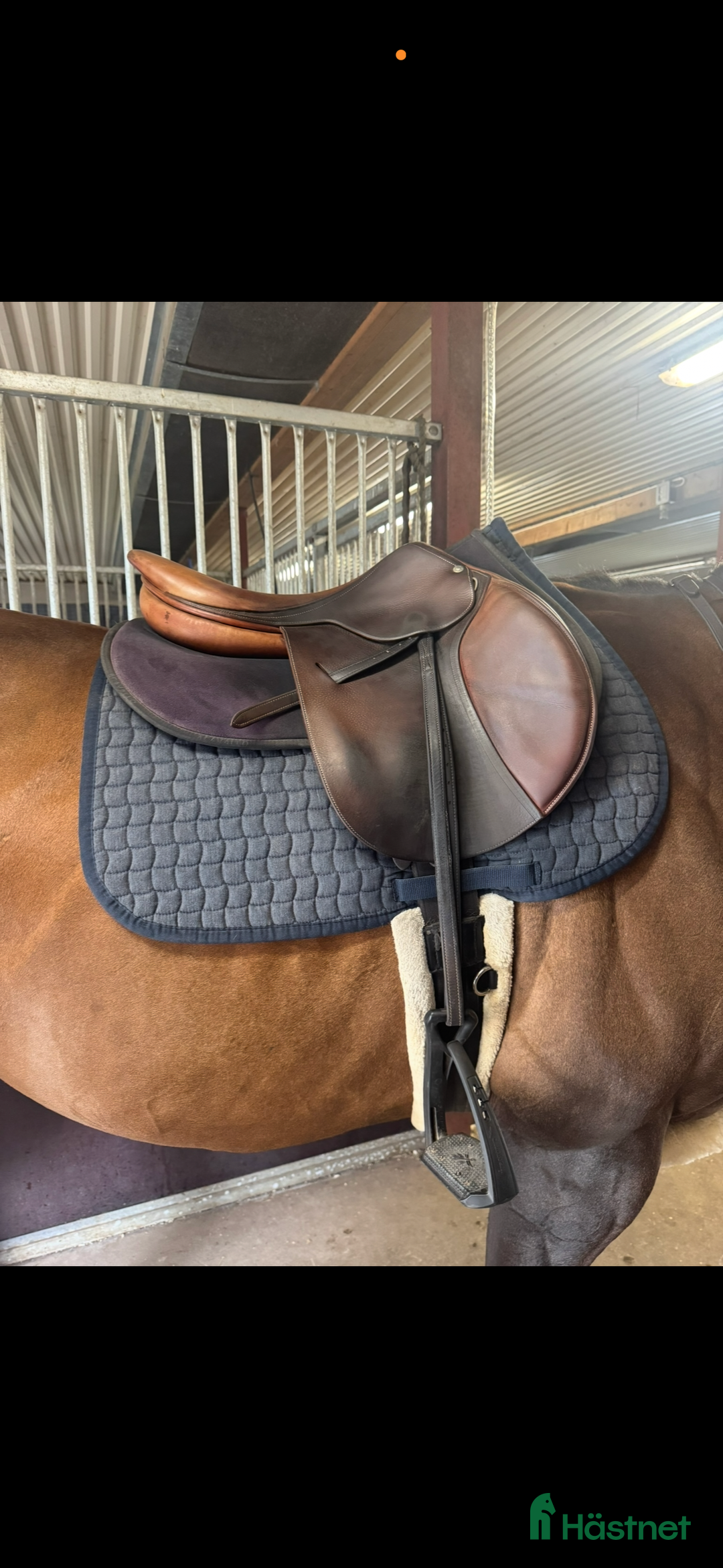 Sadlar hästutrustning till salu: Fin butet sadel i Hjo - Annons 2