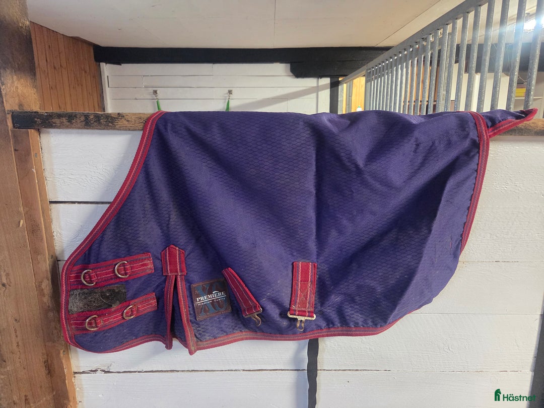 Täcken hästutrustning till salu: Regntäcke mini shettis eller föl i Rånäs - Annons 1