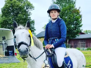 Hoppning hästar till salu: C ponny - Annons 1