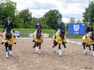 hästservice finnes: Ledig plats för häst i träning i Edsbyn - Annons 1