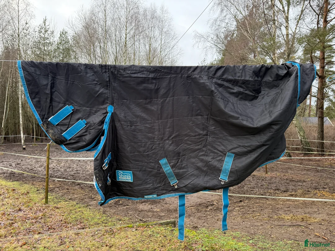 Täcken hästutrustning till salu: Stalltäcke m fast hals 125 cm i Visby - Annons 1