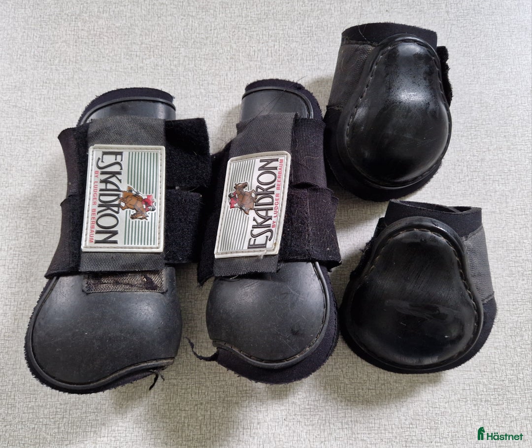 Benskydd hästutrustning till salu: Eskadron hoppskydd stl ponny i Varberg - Annons 1