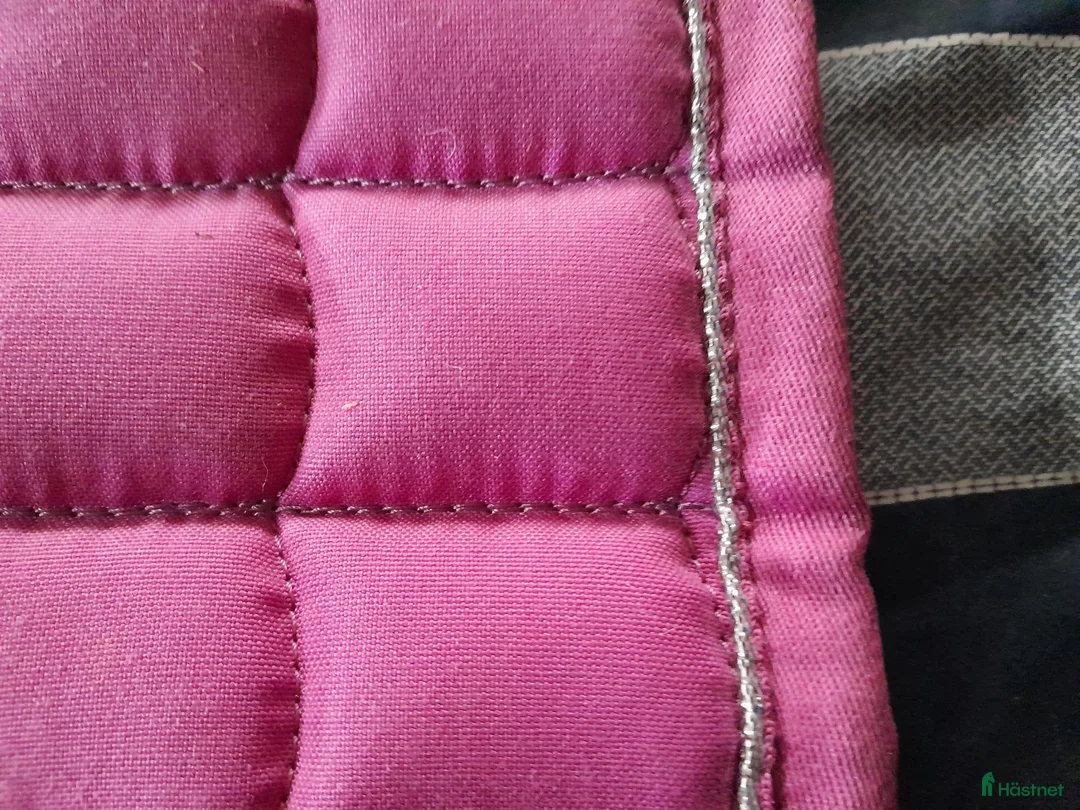 Schabrak & Vojlockar hästutrustning till salu: rosa schabrak med silver detalj cob - Annons 3