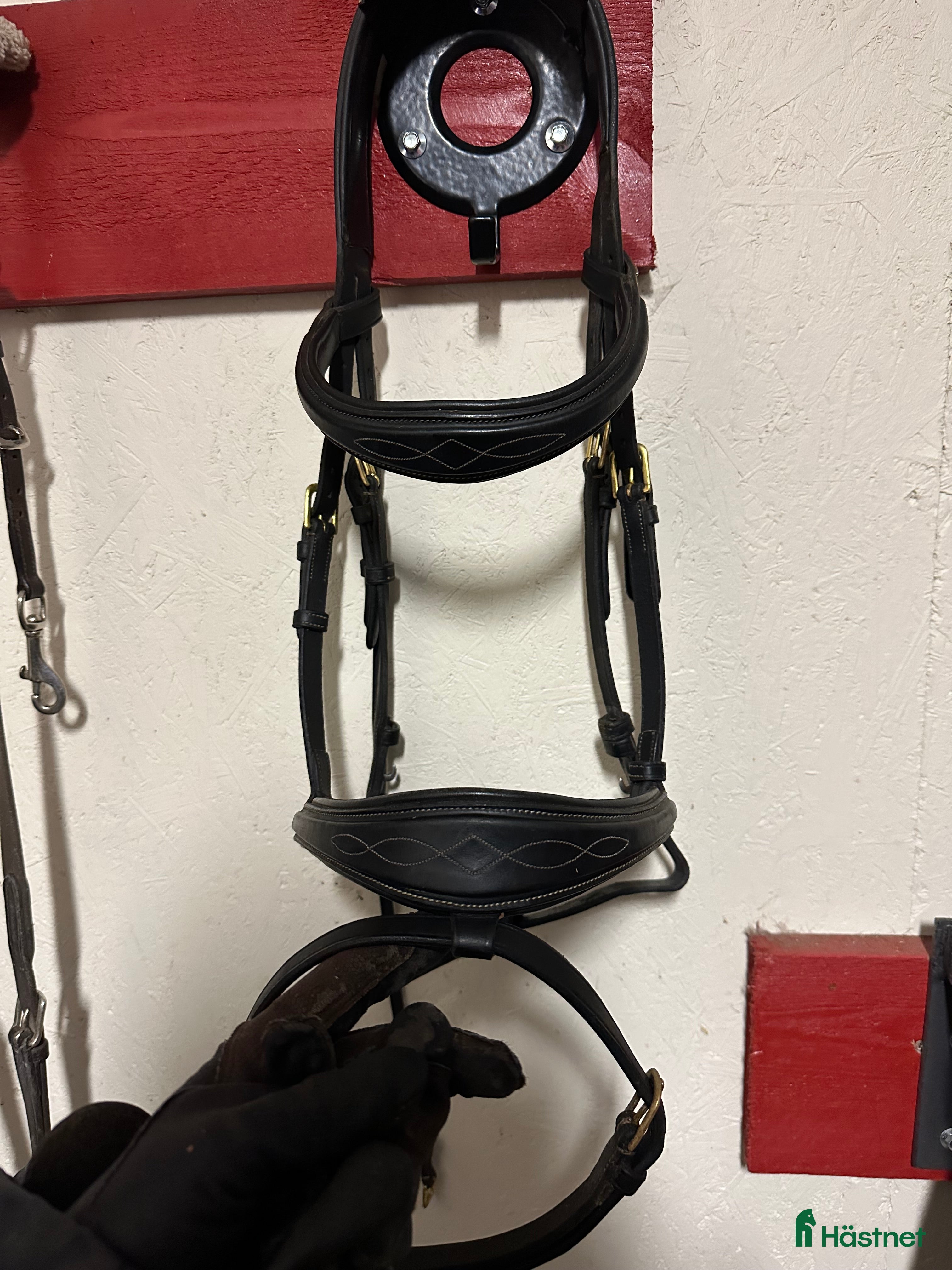 Träns hästutrustning till salu: Svart kvalitetsträns  i Skara - Annons 3
