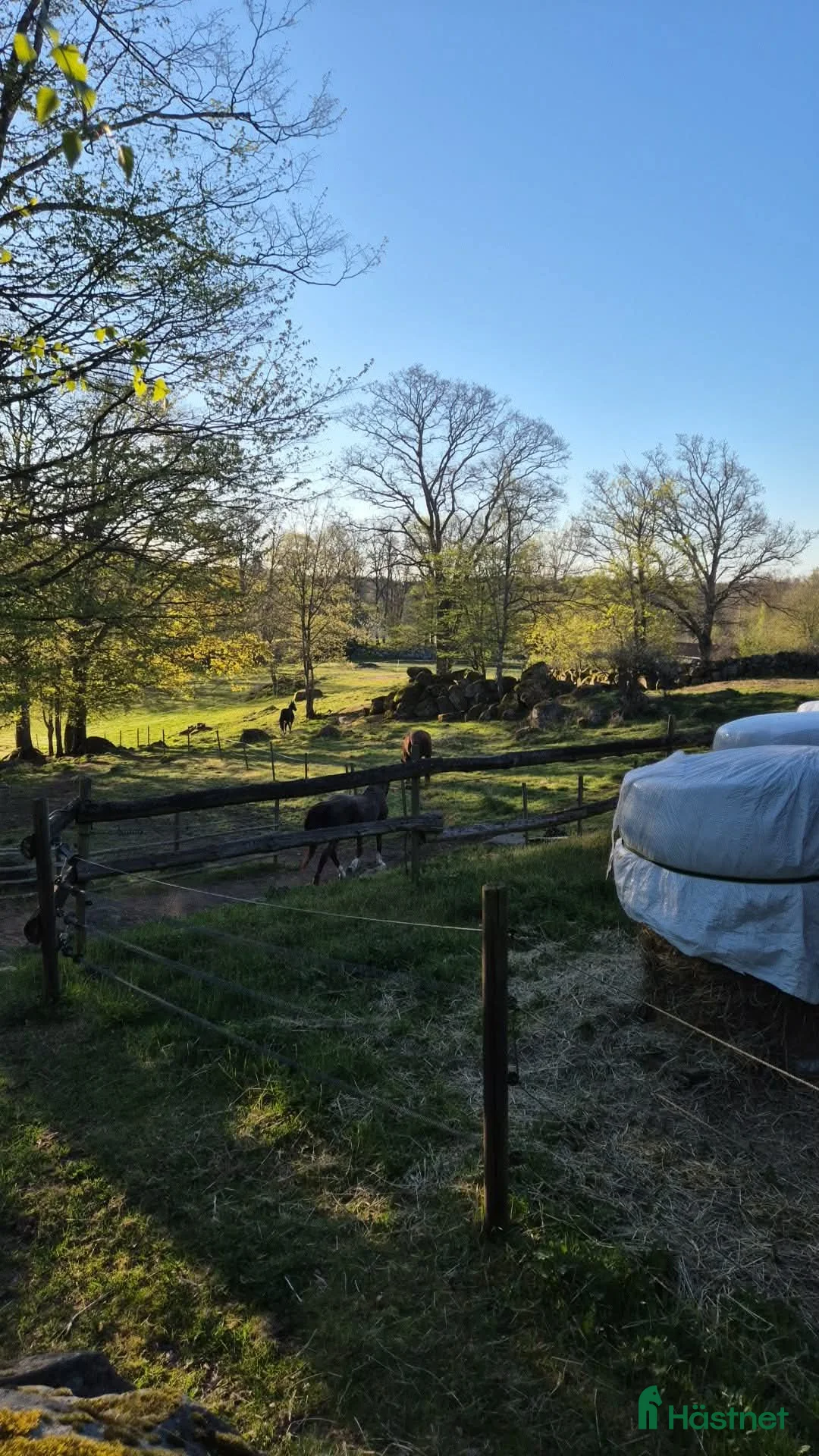  stallplats finnes: Stallplats Karlshamn  - Annons 2