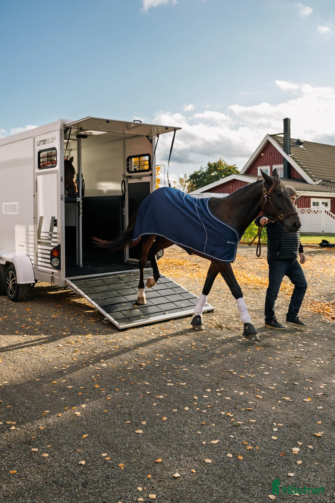 Hästtransporter  fordon & transport till salu: Lanseringskampanj Umesläp B50 2026 i Bygdsiljum - Annons 9