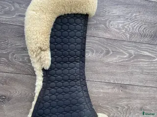 Sadeltillbehör hästutrustning Fin mattespadd - Annons 23