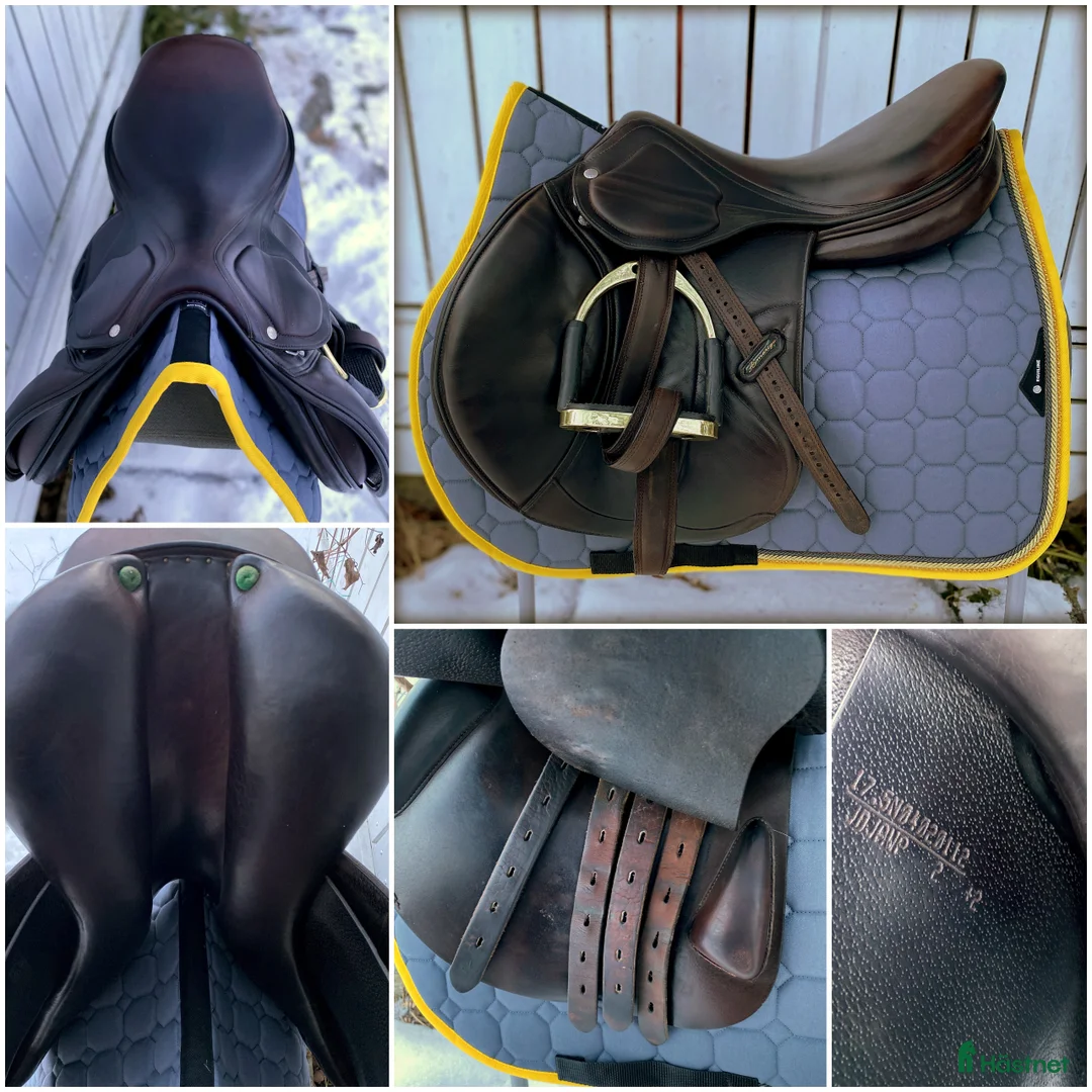 Sadlar hästutrustning till salu: Amerigo DJ Pinerolo 17,5 hoppsadel i Alunda - Annons 1