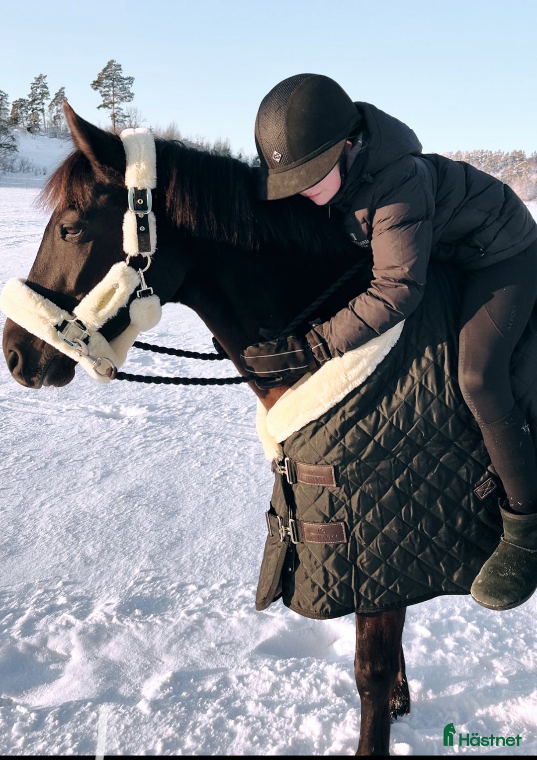 Hoppning hästar till salu: Fantastisk läromästare 🩵😇💫 i Åkersberga - Annons 6