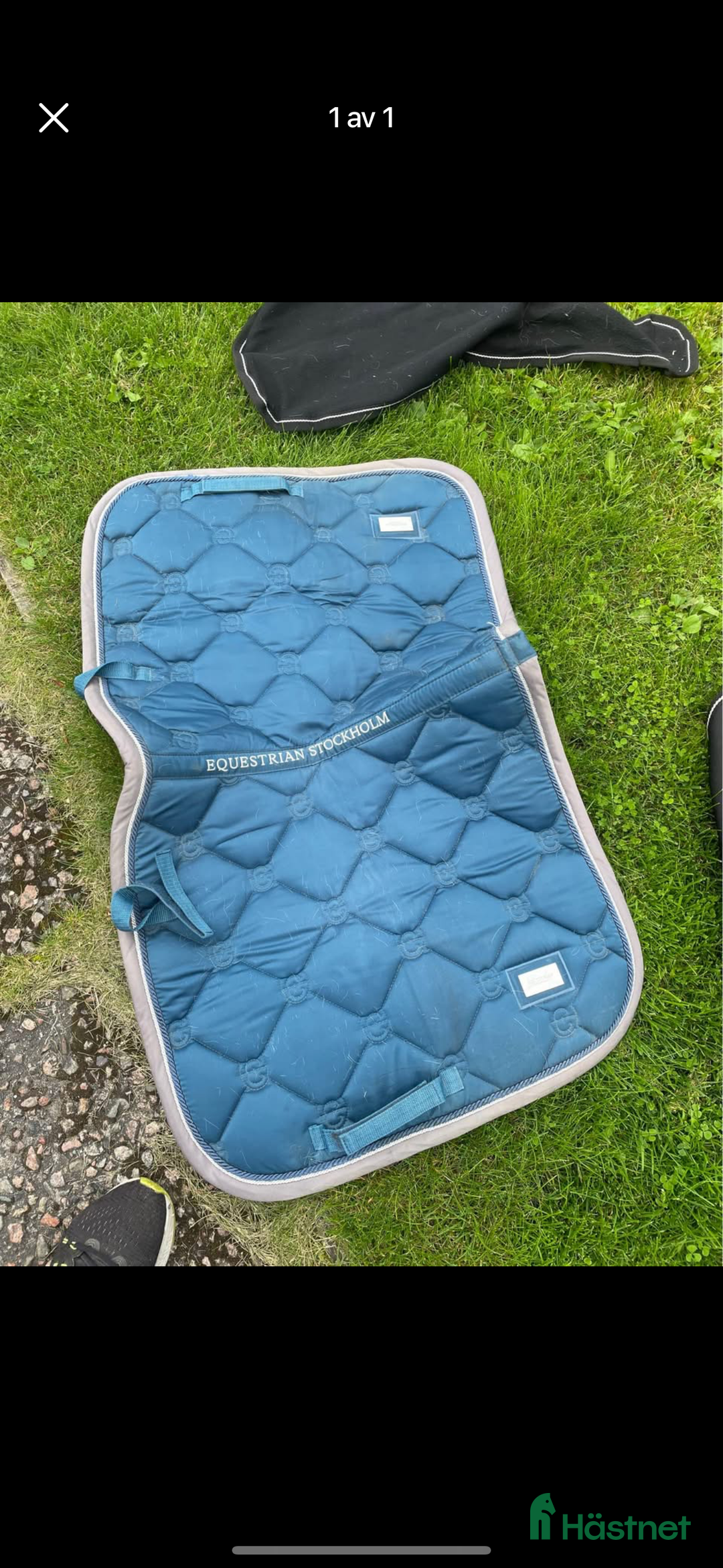 Schabrak & Vojlockar hästutrustning till salu: Equestrian Stockholm schabrak  i Västerås - Annons 1