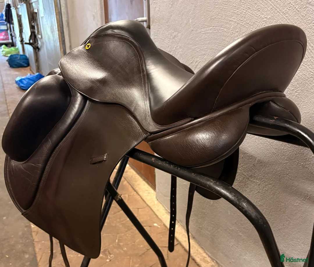 Sadlar hästutrustning till salu: BVSA! Anatomica Cygnus shortroll - Annons 4