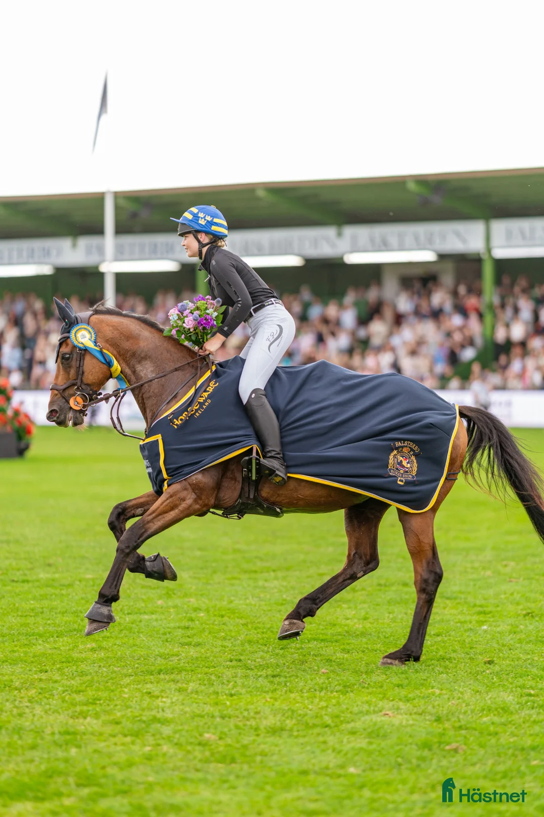  hästservice finnes: Träning, tävling och utbildning av häst  i Tranås - Annons 4