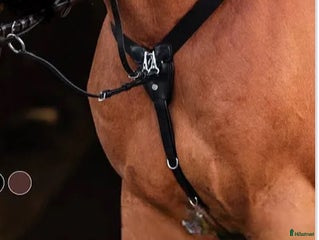 Sadeltillbehör hästutrustning till salu: Sprillans ny förbygel i Bro - Annons 9