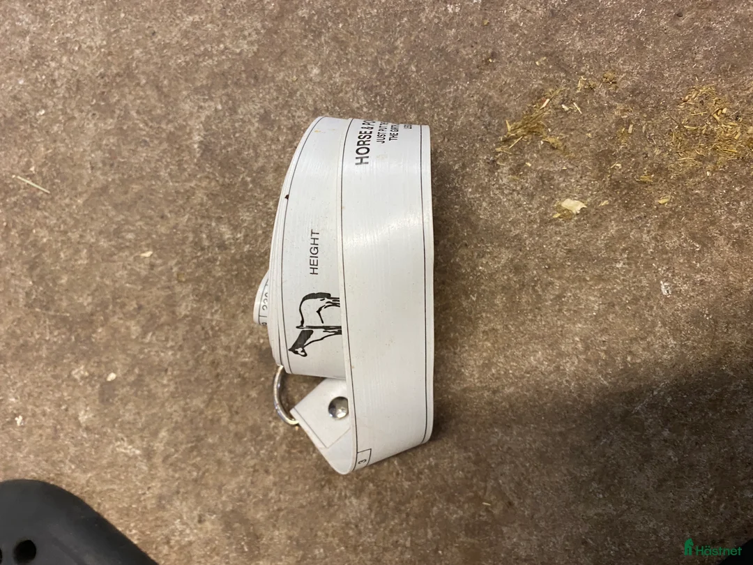 Övrig Hästutrustning hästutrustning till salu: Häst och stall utrustning  - Annons 10