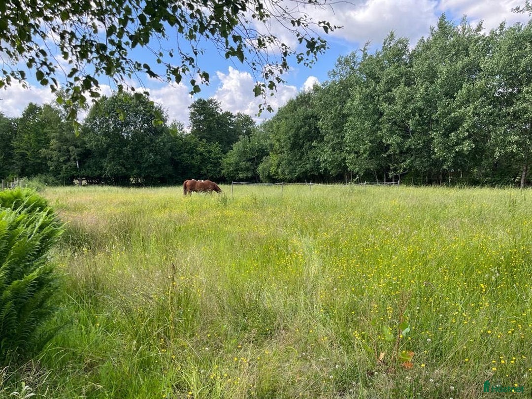  stallplats finnes: Boxplats - Annons 4