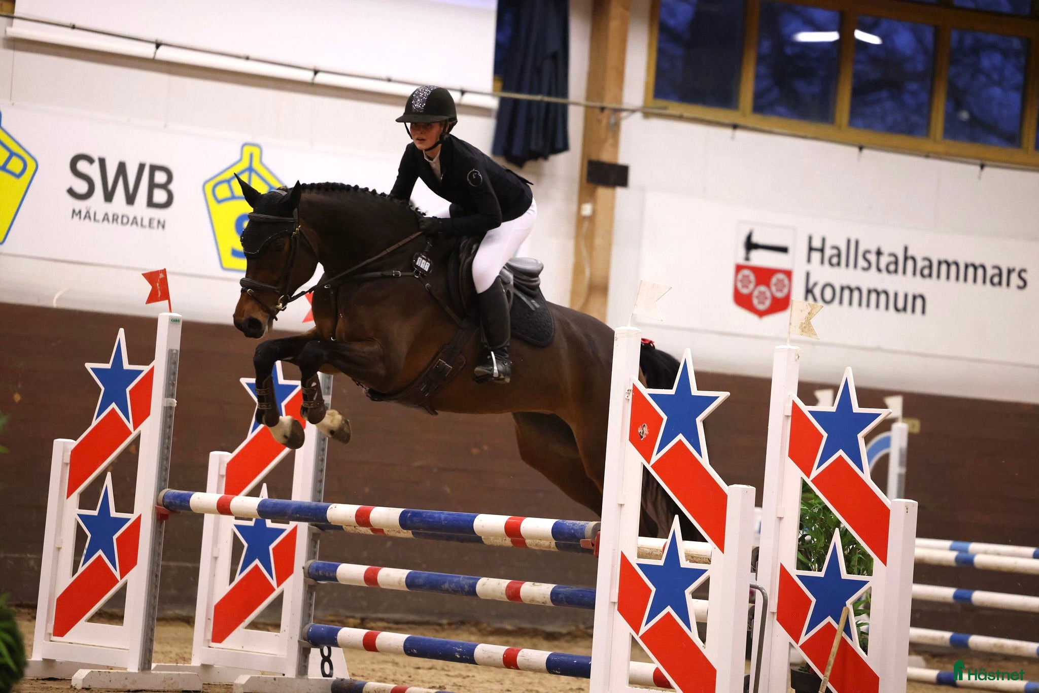  hästservice Försäljnings stall! 🐴 i Västerås - Annons 1