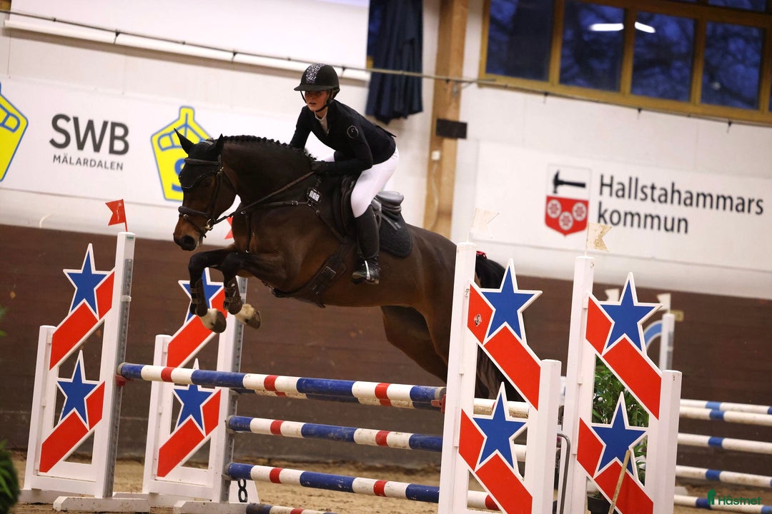  hästservice finnes: Försäljnings stall! 🐴 i Västerås - Annons 1