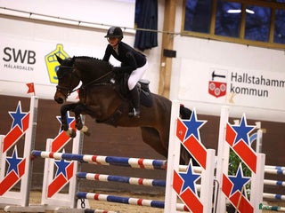 hästservice Försäljnings stall! 🐴 i Västerås - Annons 15