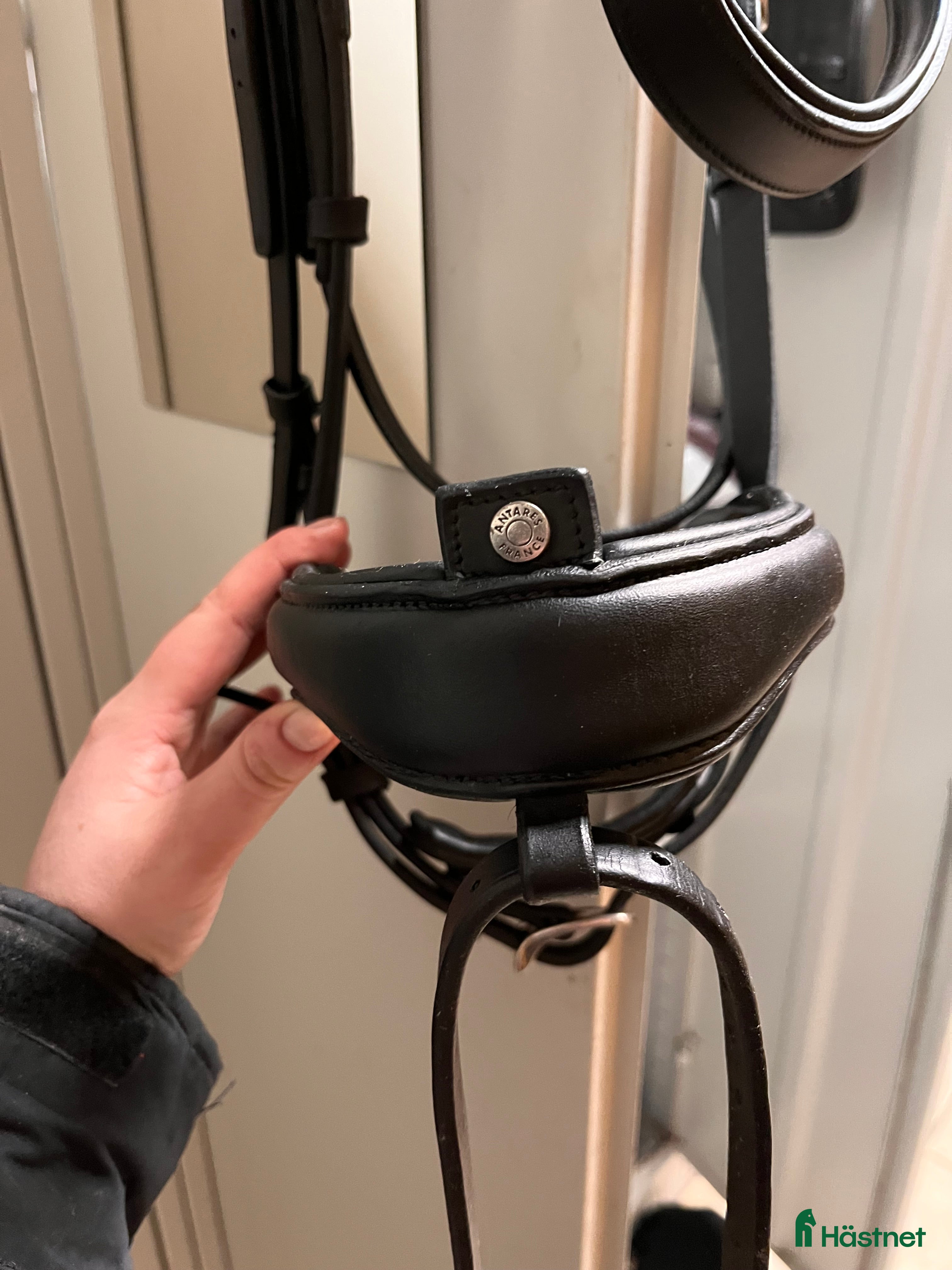 Träns hästutrustning till salu: Antares precision dressyr i Helsingborg - Annons 4