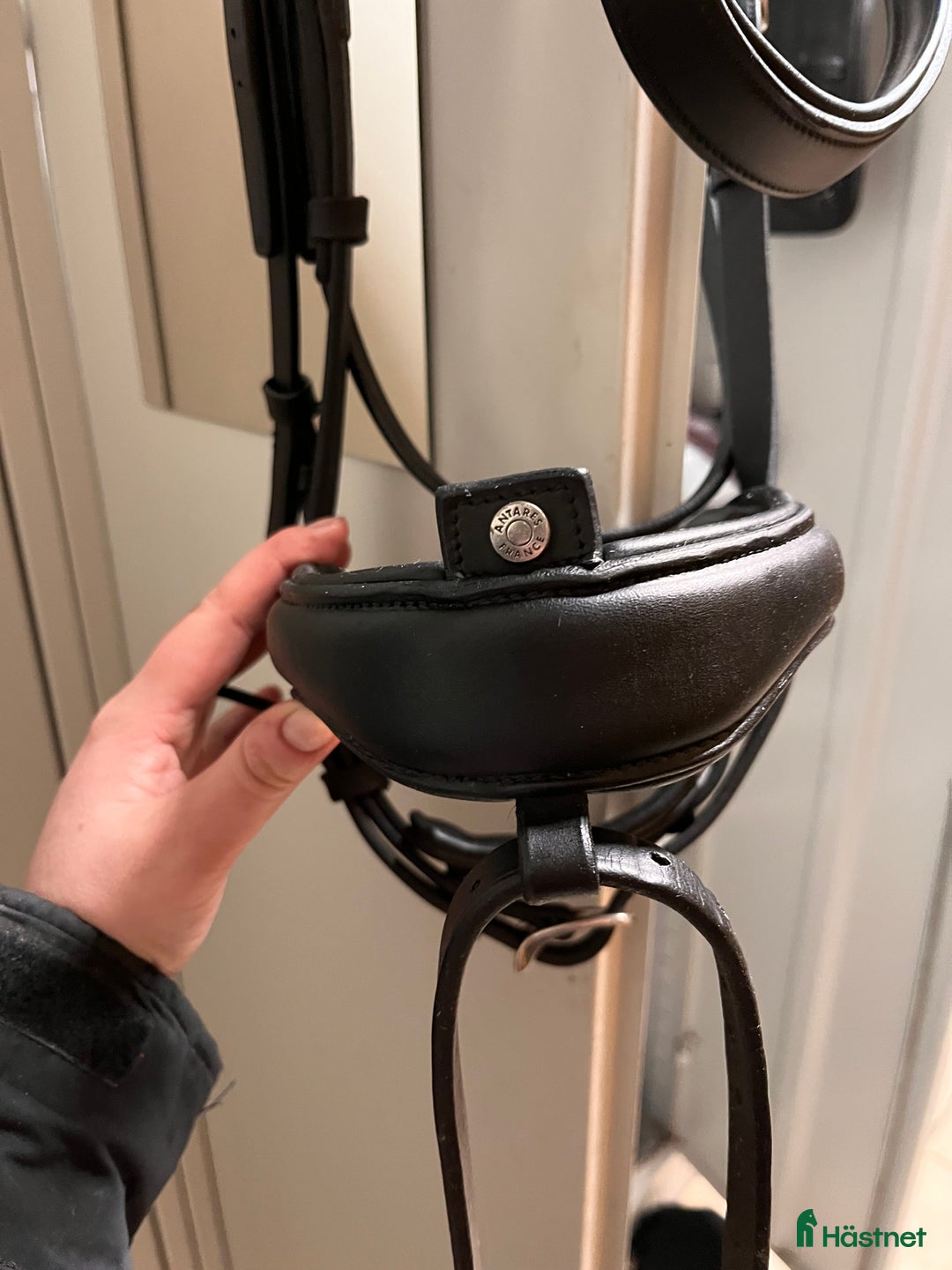 Träns hästutrustning till salu: Antares precision dressyr i Helsingborg - Annons 1