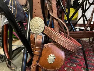 Körselar körning till salu: Vacker sele. Full i Våxtorp - Annons 5