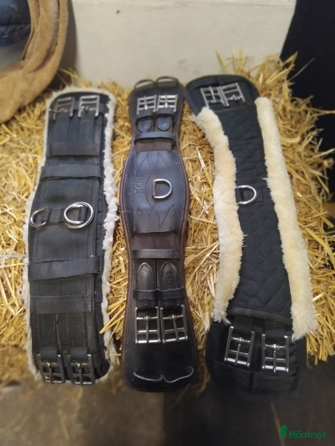 Övrig Hästutrustning hästutrustning till salu: Blandat i Löddeköpinge - Annons 10