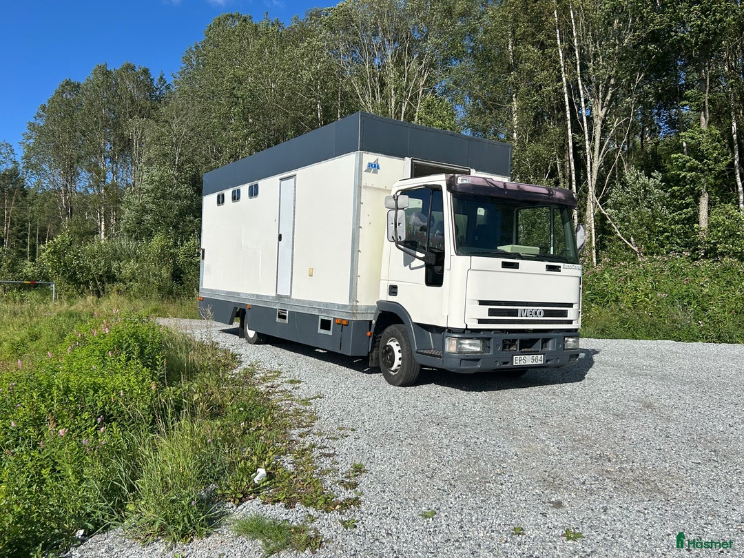 Hästlastbilar  fordon & transport till salu: Hästlastbil C1 i Grödinge - Annons 2