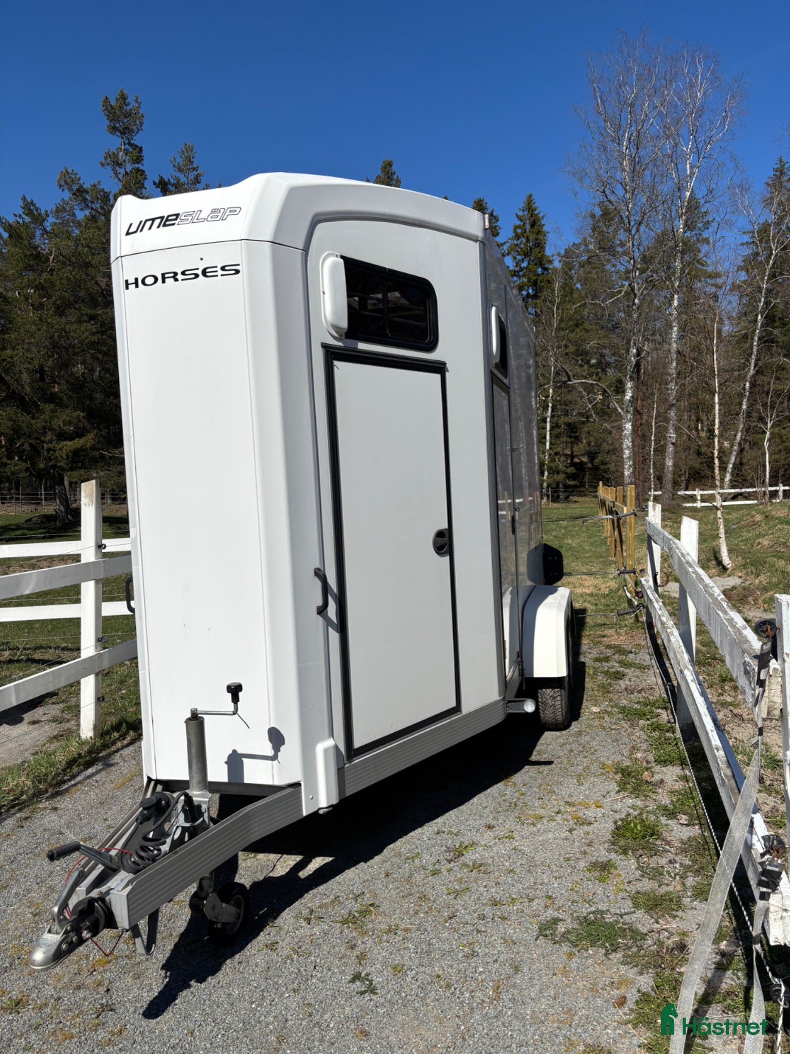 Hästtransporter  fordon & transport till salu: Fint begagnat umesläp (momsad)  - Annons 9