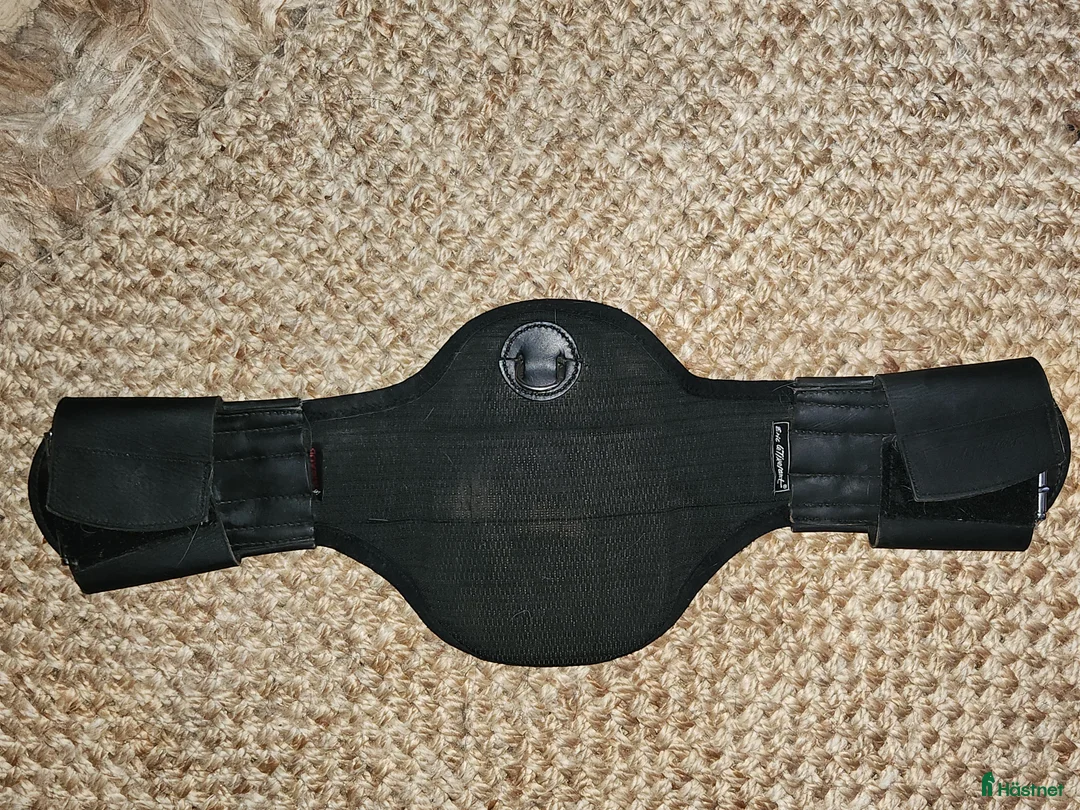 Sadlar hästutrustning till salu: Lippo dressyrsadel i Hindås - Annons 6