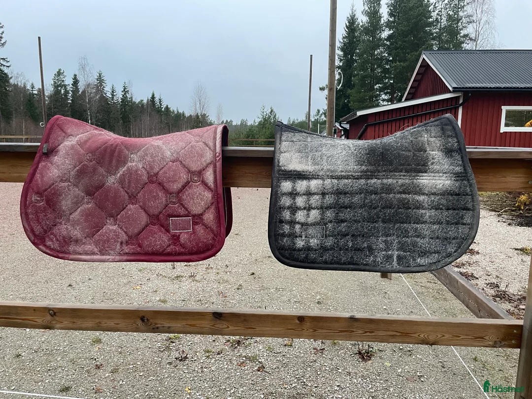 Schabrak & Vojlockar hästutrustning till salu: 2 ES schabrak tillsalu i Rättvik - Annons 3