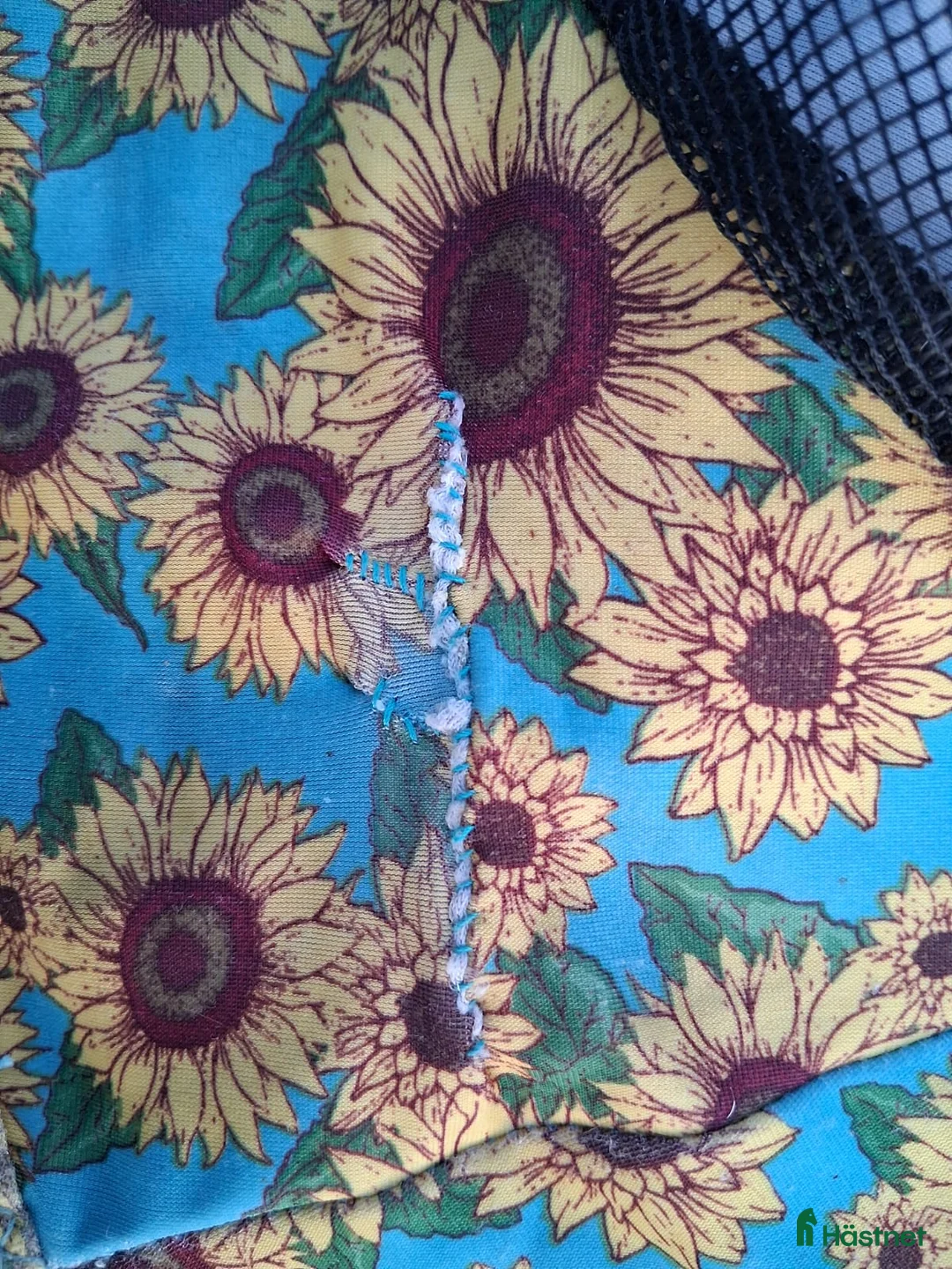 Övrig Hästutrustning hästutrustning till salu: Diverse hästgrejer i Ljungbyholm - Annons 5