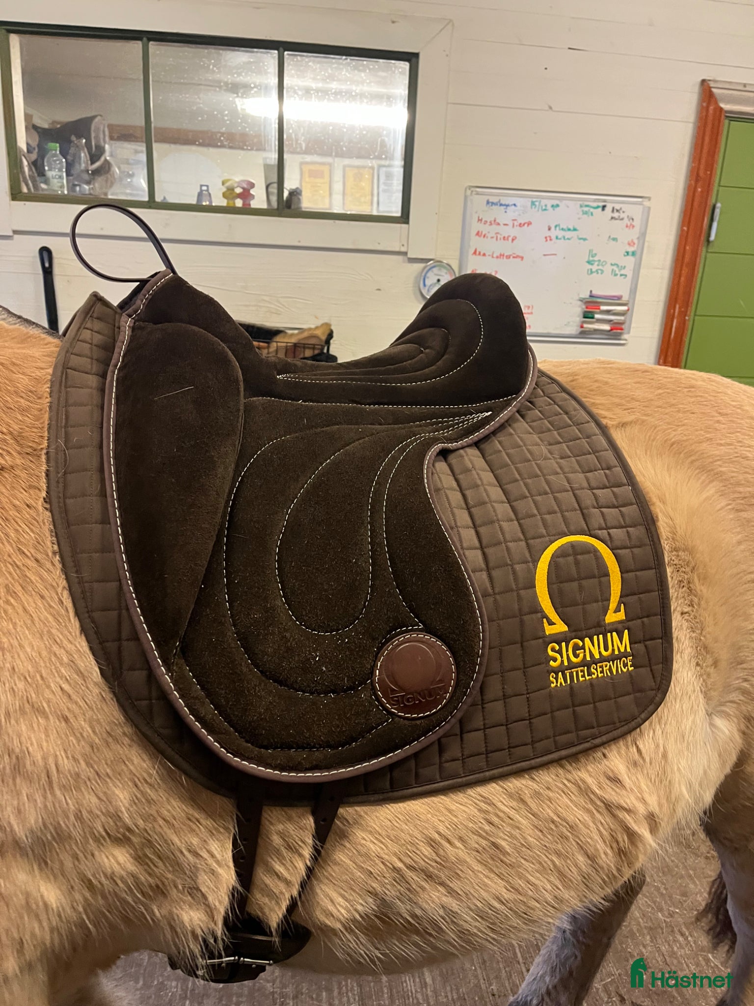 Sadlar hästutrustning Barbackapad Omega Signum  - Annons 4