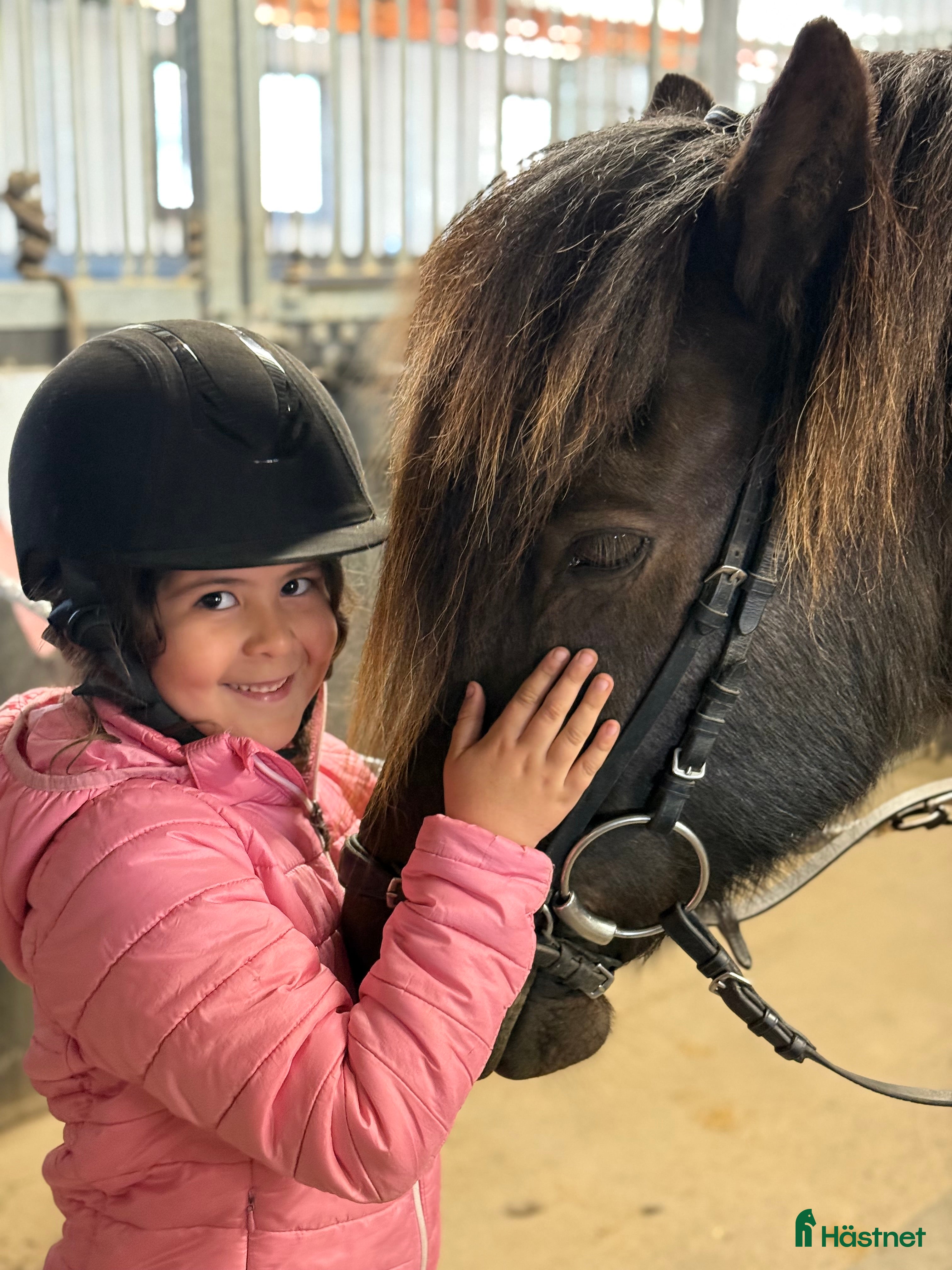  medryttarhäst sökes: Söker medryttar-ponny i Borlänge - Annons 11