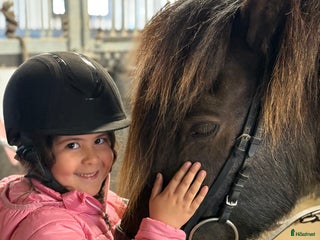 medryttarhäst sökes: Söker medryttar-ponny i Borlänge - Annons 11