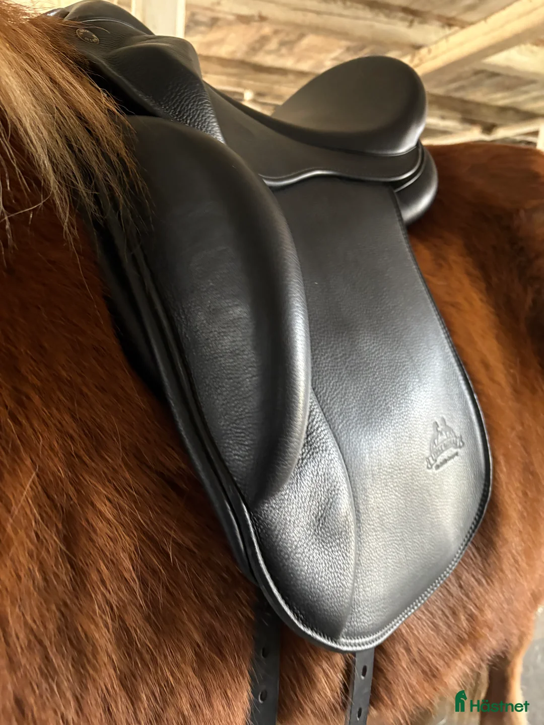 Sadlar hästutrustning till salu: Mycket fin Töltrider Glampi sadel - Annons 3