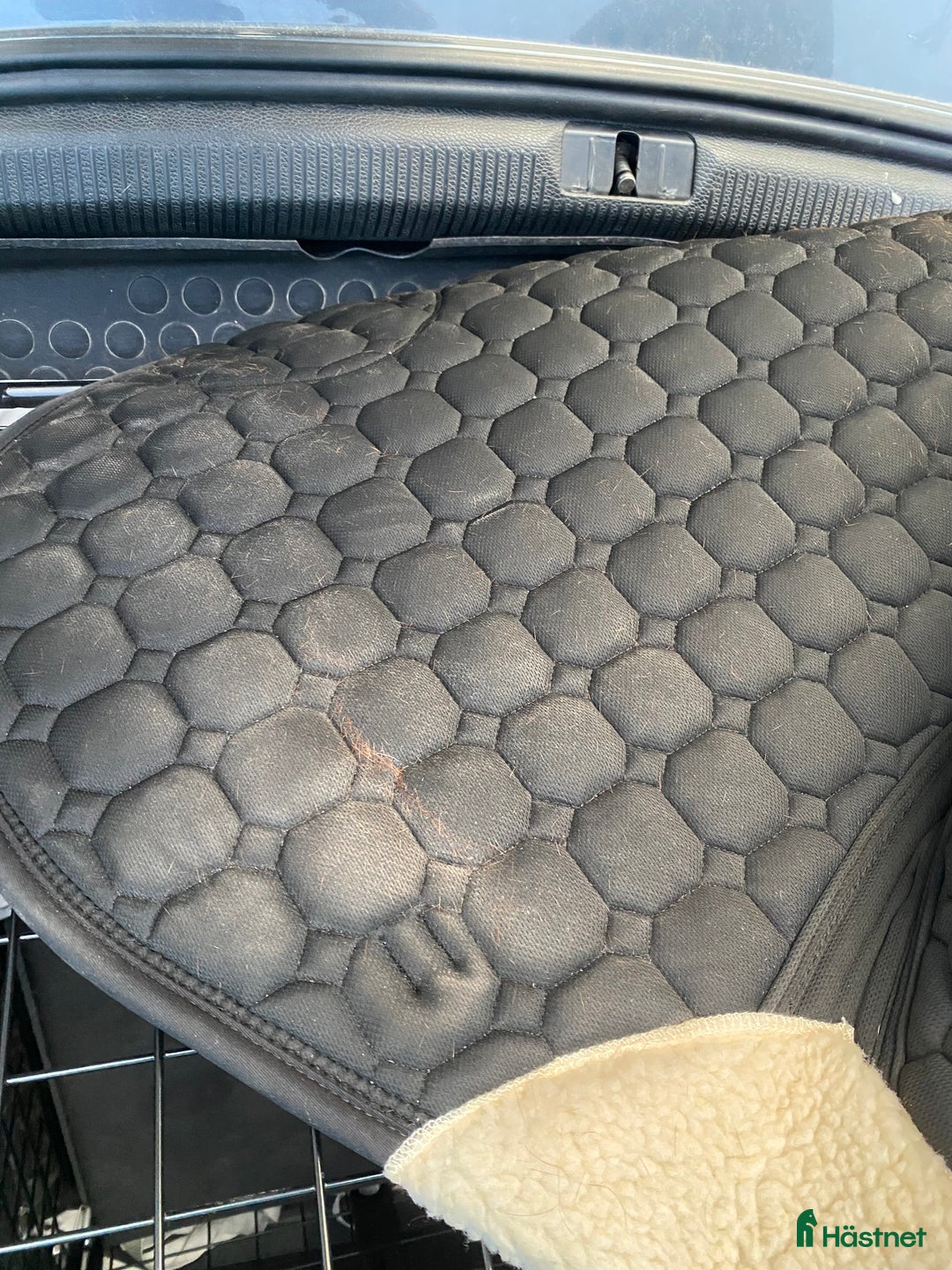 Schabrak & Vojlockar hästutrustning till salu: Fint schabrak i full i Vellinge - Annons 4